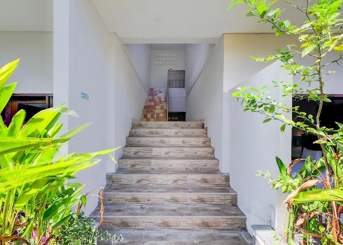 Collection O Bali Near Formerly Akarsa Kokoro 3* Sanur